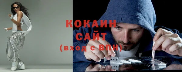 прущие грибы Козельск